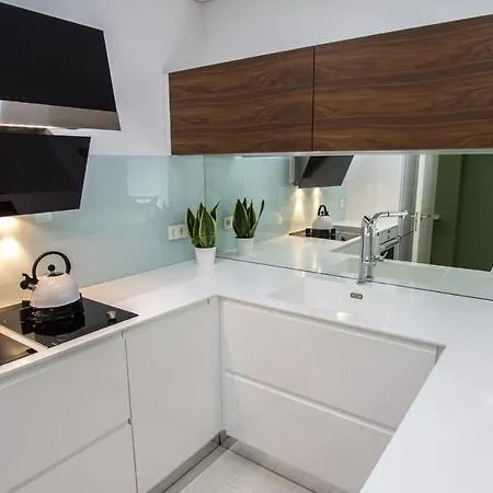 Apartamento Con Terraza * San Sebastián